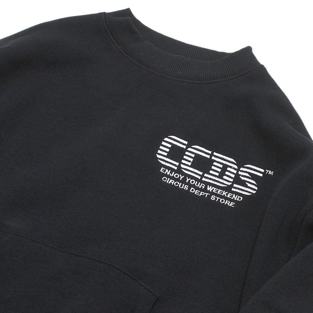 csc12324166_01_a_3
