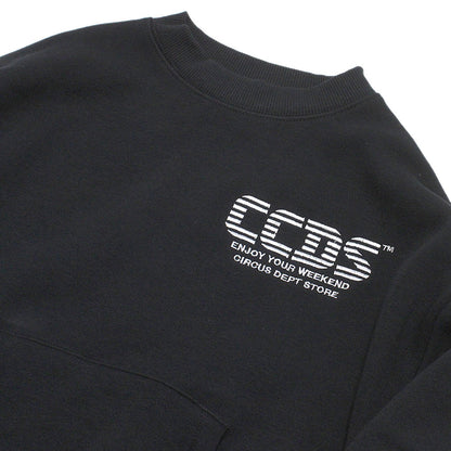 csc12324166_01_a_3