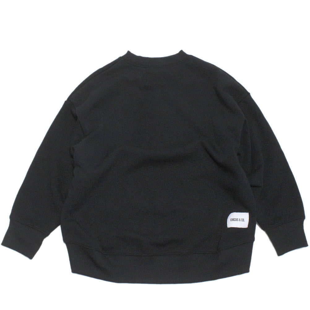 csc12324166_01_x_3