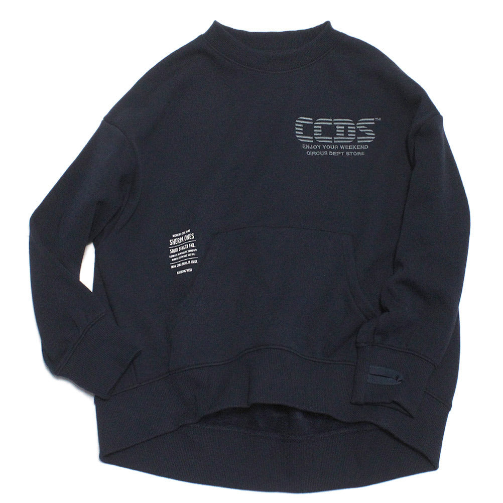 csc12324166_03_a_1