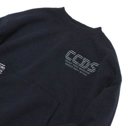 csc12324166_03_a_3